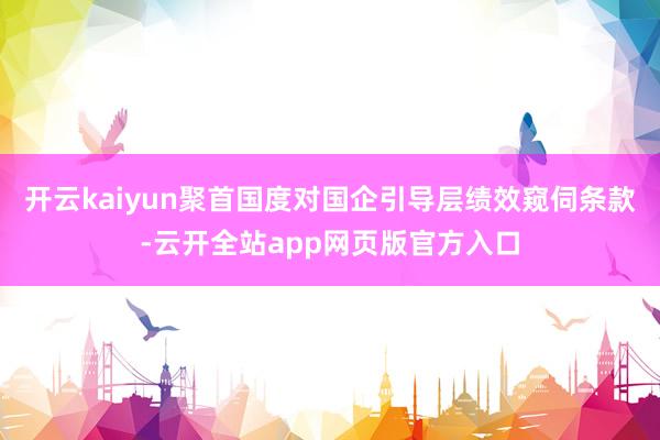 开云kaiyun聚首国度对国企引导层绩效窥伺条款-云开全站app网页版官方入口