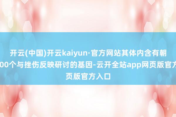 开云(中国)开云kaiyun·官方网站其体内含有朝上2000个与挫伤反映研讨的基因-云开全站app网页版官方入口