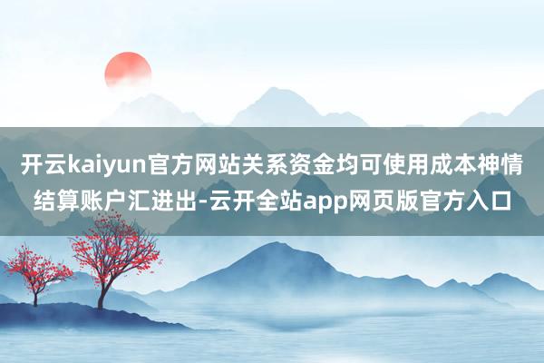 开云kaiyun官方网站关系资金均可使用成本神情结算账户汇进出-云开全站app网页版官方入口